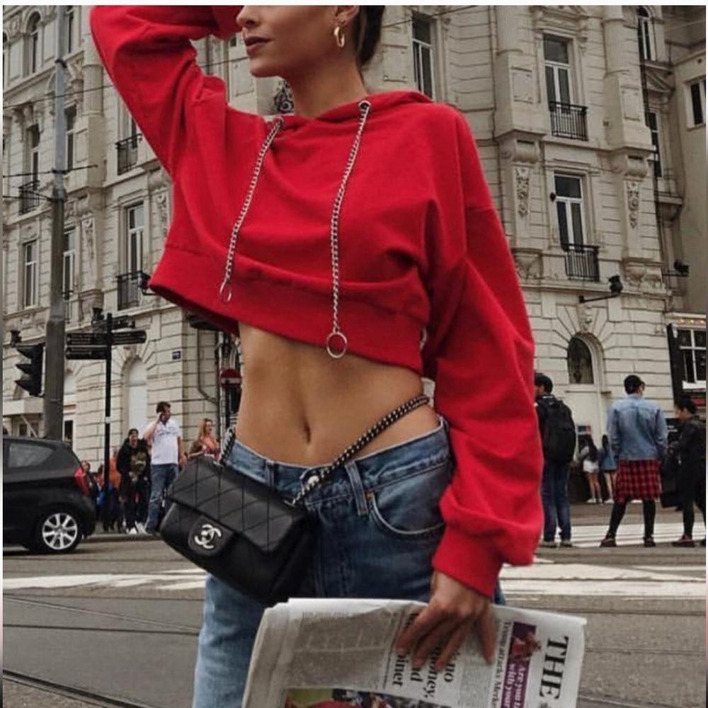 Tiger Mist Red Chain Link Hoodie